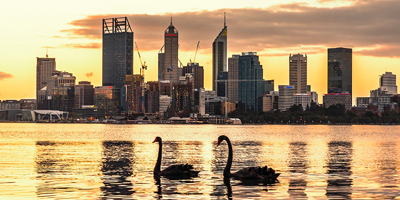 The Swan River and Perth's iconic black swans