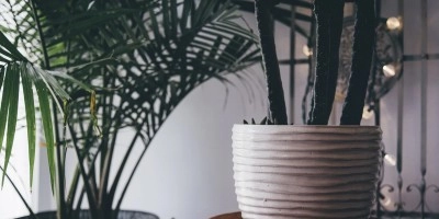 Making Your House Feel More Like a Home