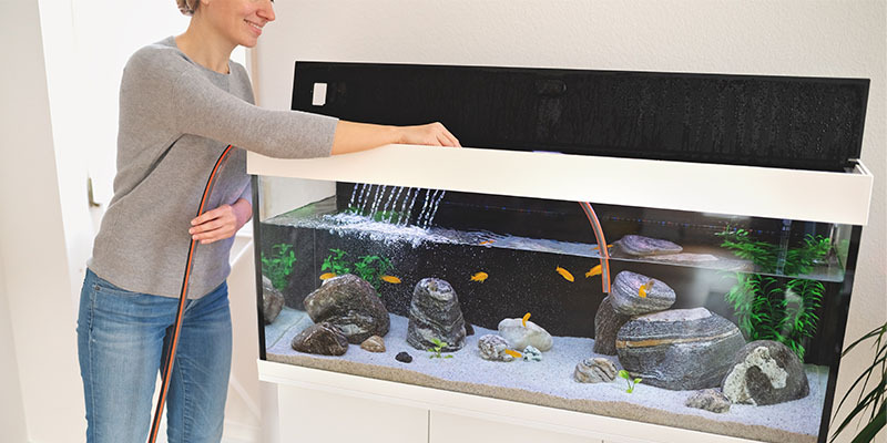 woman cleaning out a large fish tank aquarium