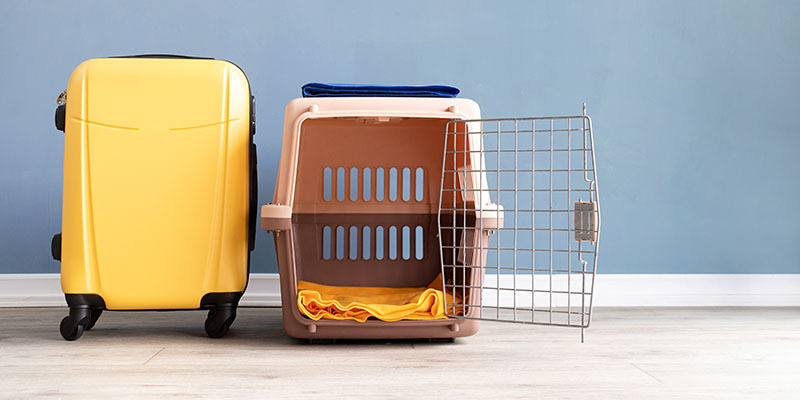 yellow suitcase sitting next to an empty open pet carrier on the floor