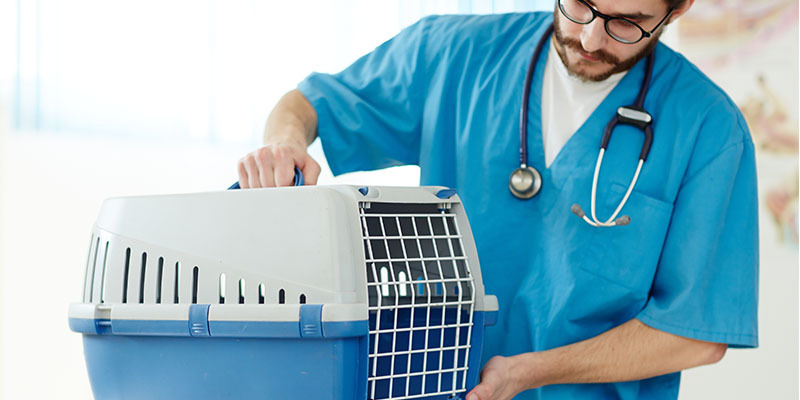 male vet holding a pet carrier