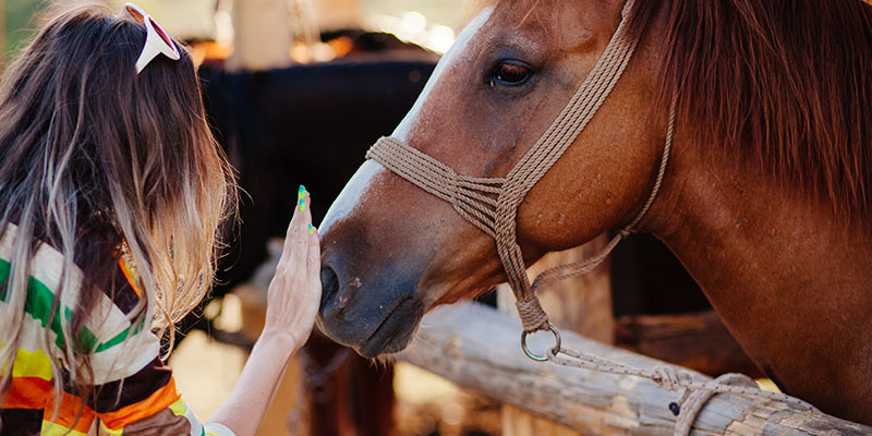 closup of a woman and a brown horse