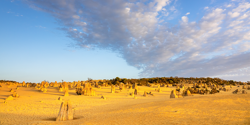 pinnacles desert in western australia