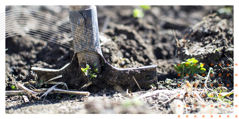 GARDEN MAINTENANCE