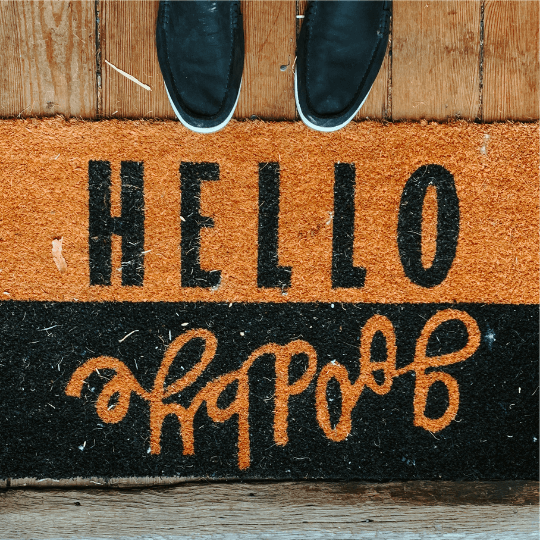 hello goodbye door mat