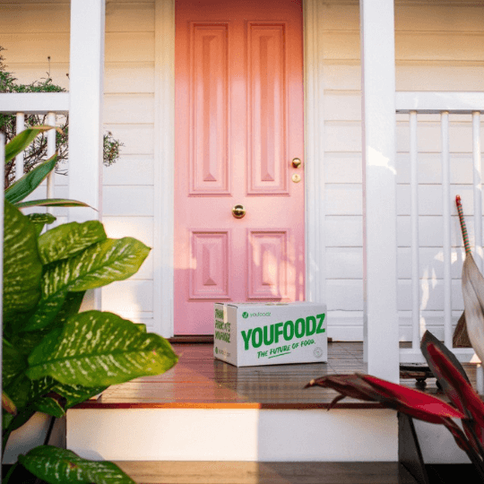 youfoodz door delivery