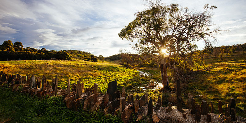 Take a trip to Spiky Bridge constructed by convicts in the mid 19th century