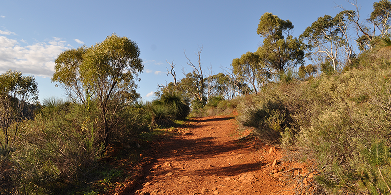 Perth is also unique in that it is one of the few cities in the world where the desert meets the ocean