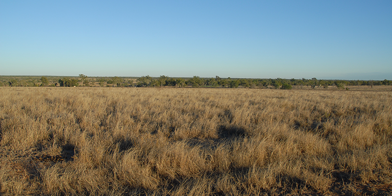 The Queensland outback is vast