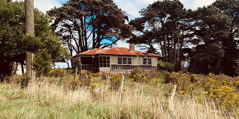 Catch the rural sights as you drive around the countryside