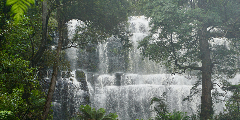 Tasmania is famous for lush forests and spectacular waterfalls