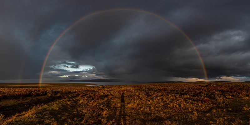 A photo of a "fogbow" taken during specific weather in Tasmania