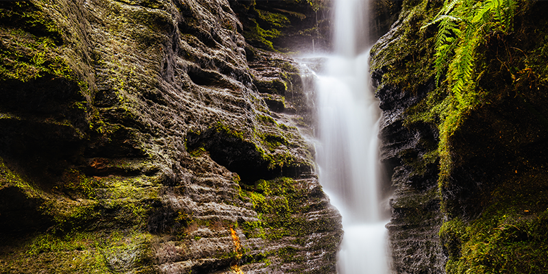 Tasmania is famous for lush forests and spectacular waterfalls