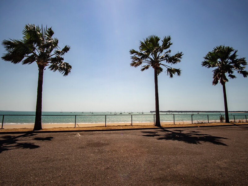 Darwin with a view of the ocean