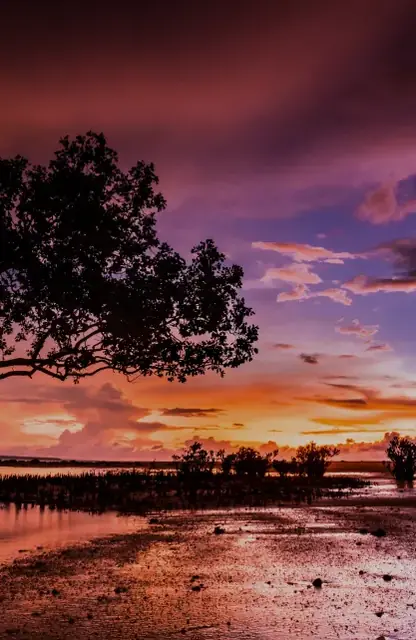 Darwin skyline